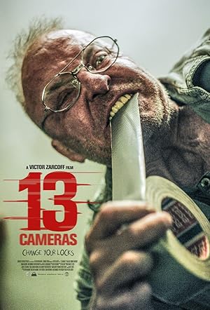 Poster of 13 Cameras