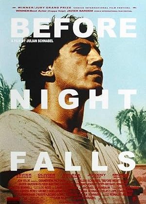 Poster of Before Night Falls
