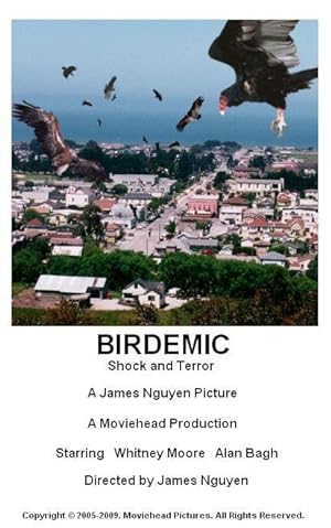 Poster of Birdemic: Shock and Terror