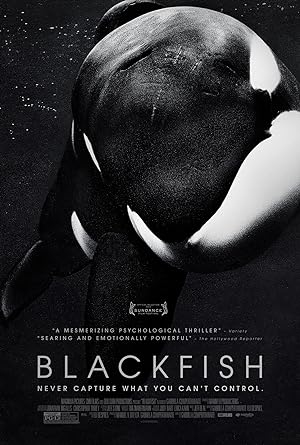 Poster of Blackfish