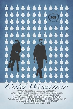 Poster of Cold Weather