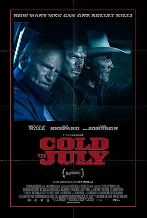 Poster of Cold in July