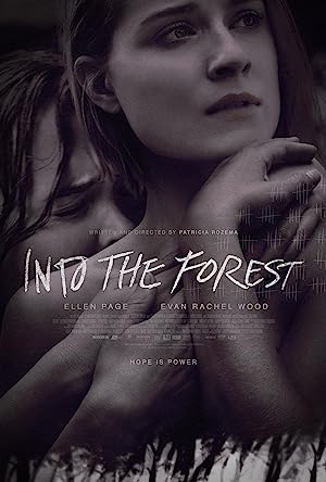 Poster of Into The Forest