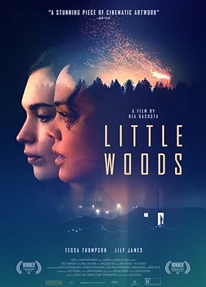 Poster of Little Woods