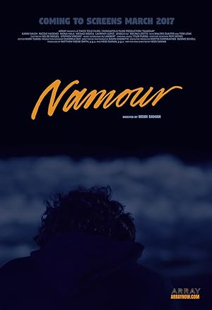 Poster of Namour