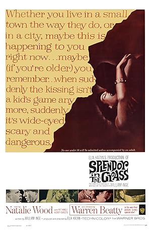 Poster of Splendor in the Grass