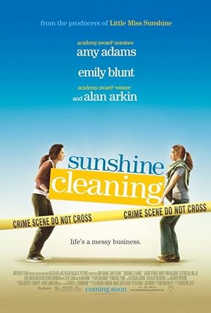 Poster of Sunshine Cleaning