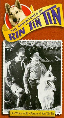 Poster of The Adventures of Tin Tin