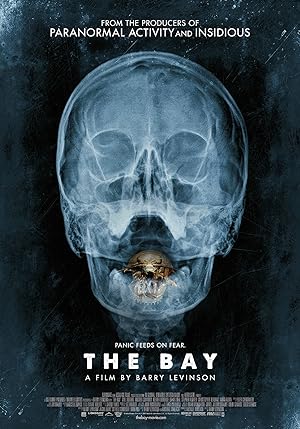 Poster of The Bay