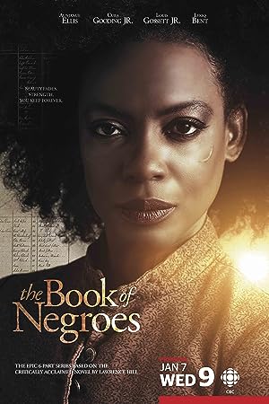 Poster of The Book of Negroes