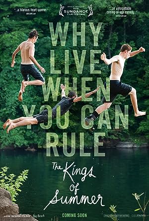 Poster of The Kings of Summer