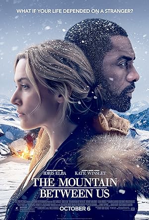 Poster of The Mountain Between Us