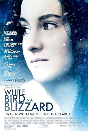 Poster of White Bird in a Blizzard