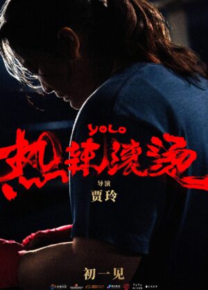Movie Poster for Yolo