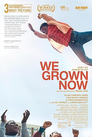 Movie poster for We Grown Now