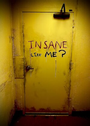 Movie poster for Insane Like Me?