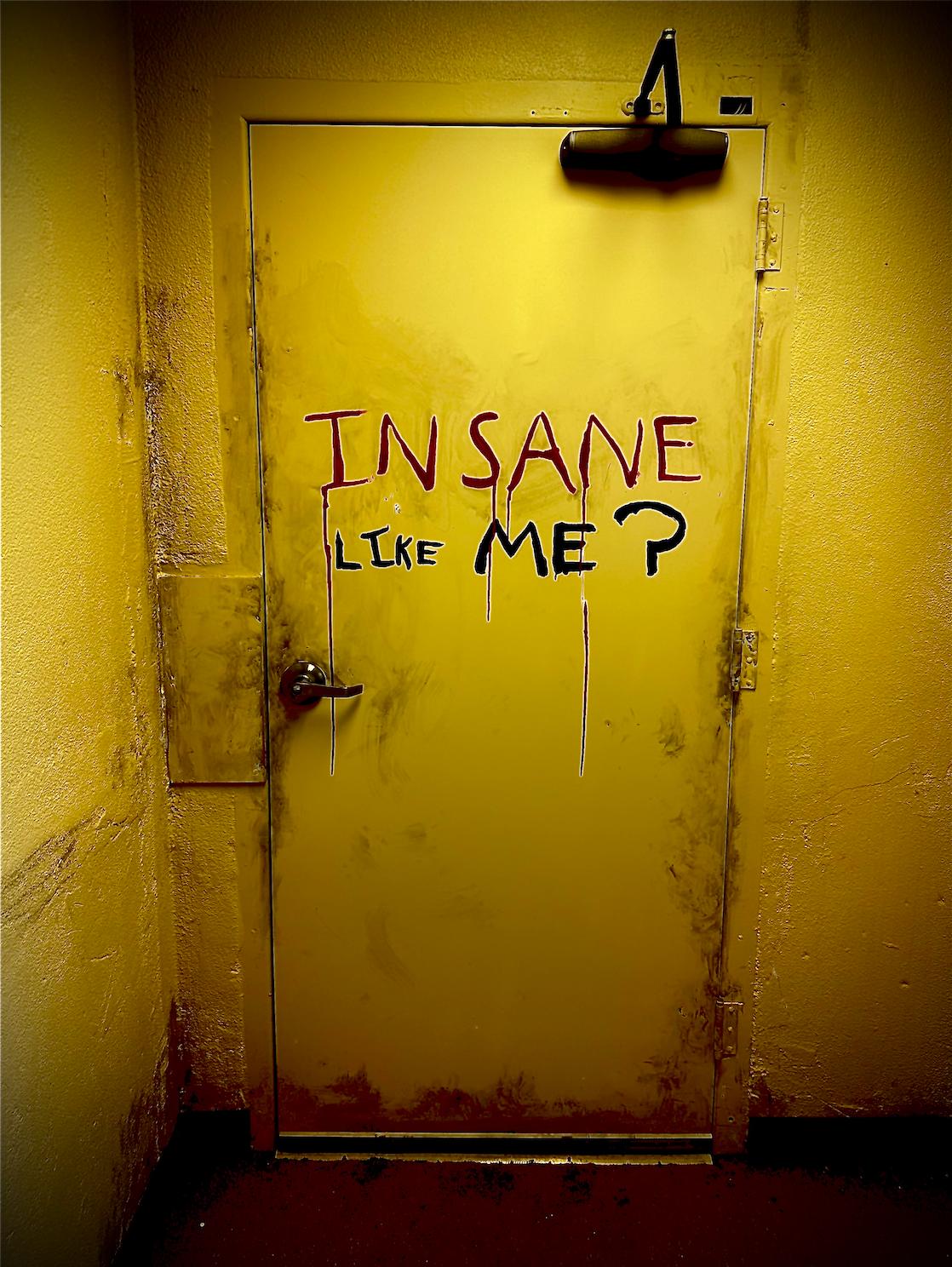 Movie poster for Insane Like Me?