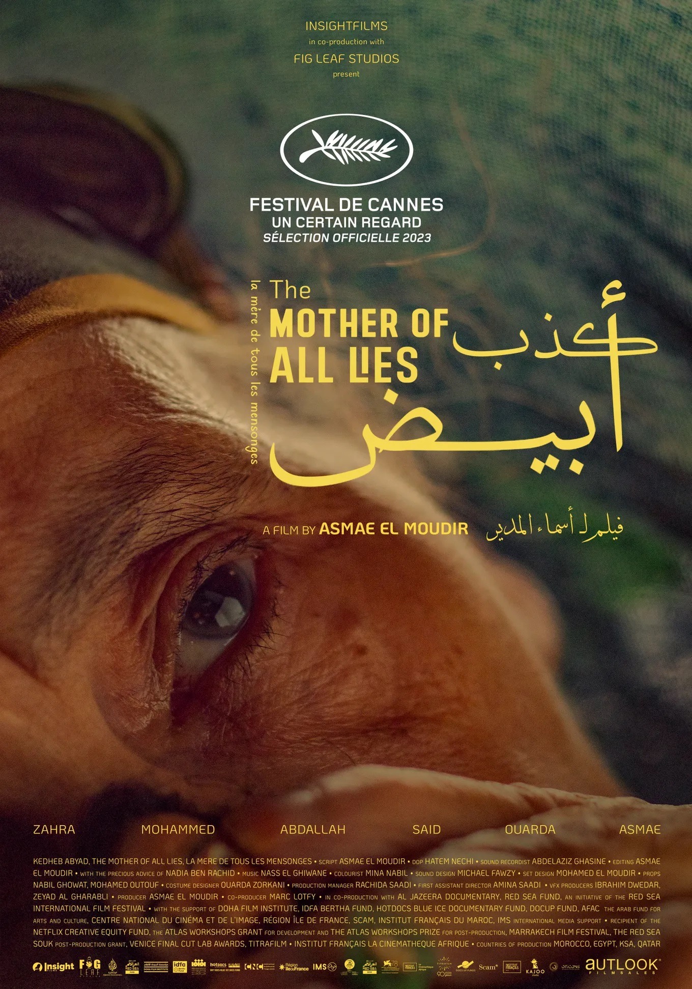 Movie poster for "The Mother of All Lies"