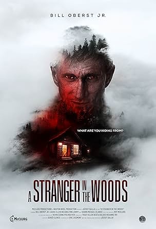 Movie poster for "A Stranger in the Woods"