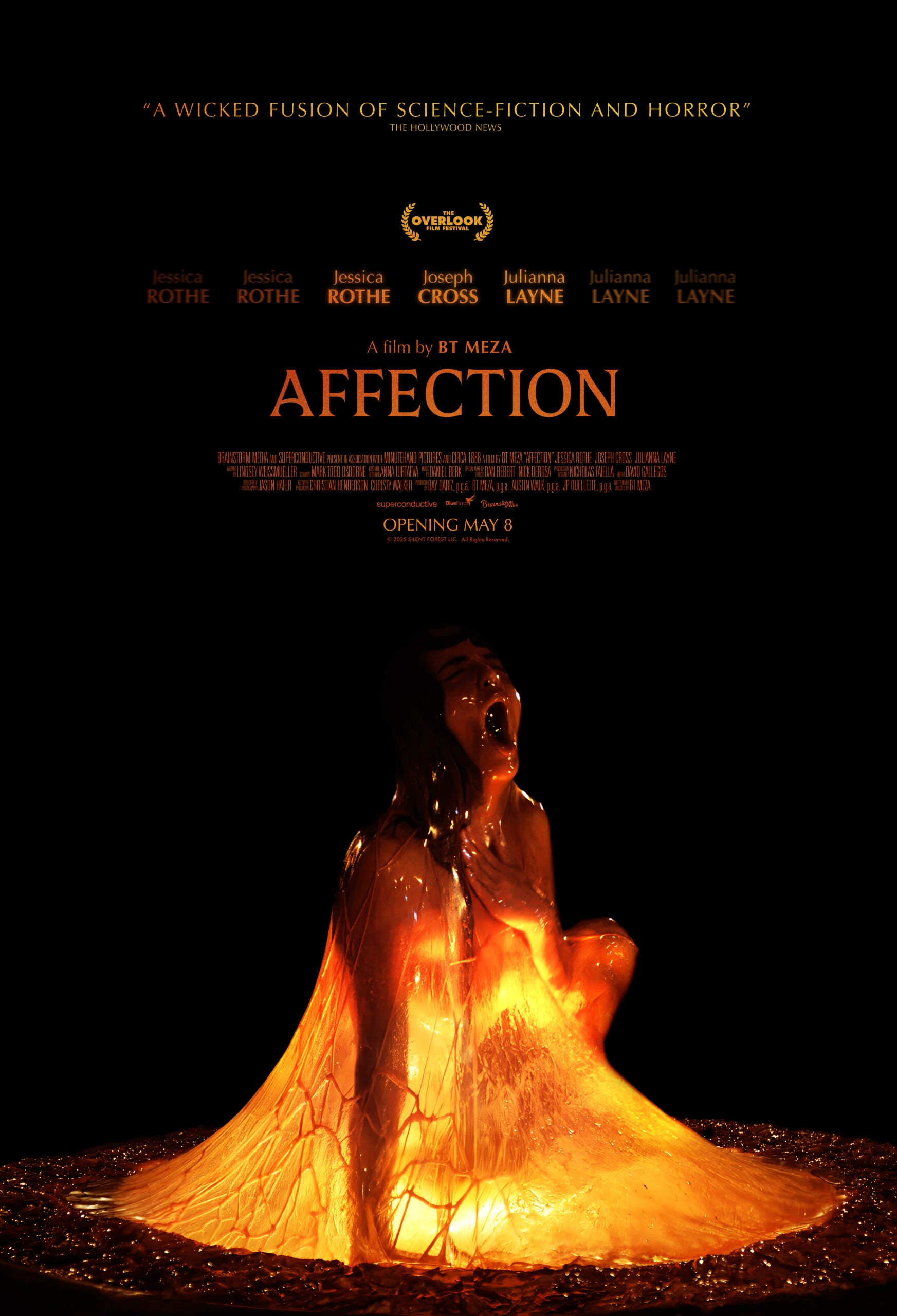 Movie poster for Affection